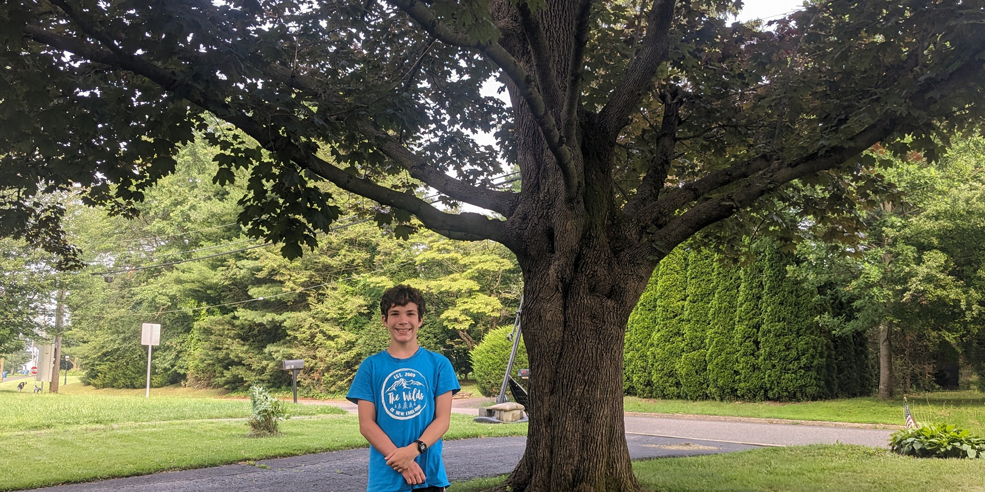 KC Myers, age 12, stands beside the huge maple tree on his front lawn.
