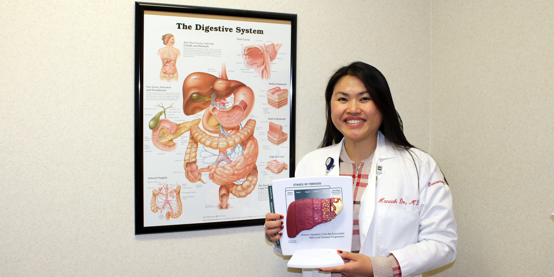 Dr. Do, a gastroenterologist, showing a model of a human liver.