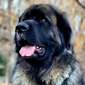 Lowen | Doylestown Health