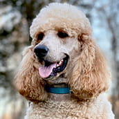 Timmy | Doylestown Health