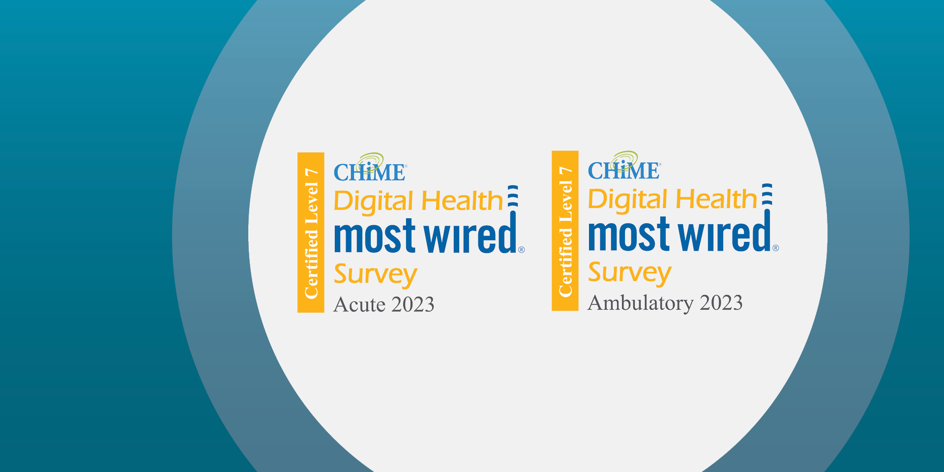 CHIME Digital Health Most Wired Survey 2023 | Doylestown Health