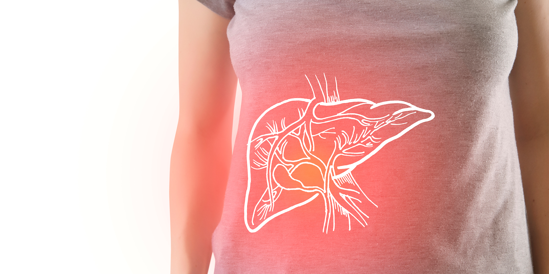 illustration of a liver superimposed on a woman's abdomen