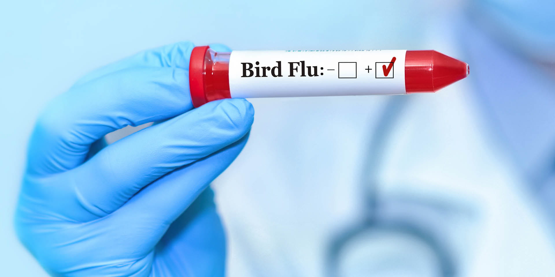 Blue gloved hand holding bird flu test tube | Doylestown Health