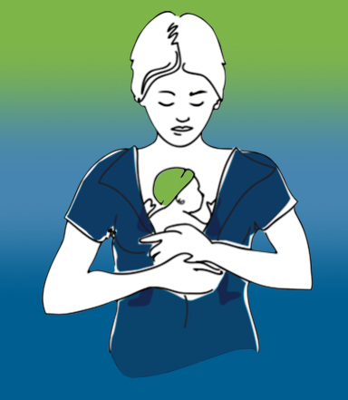 Breast Feeding Illustration | Doylestown Health