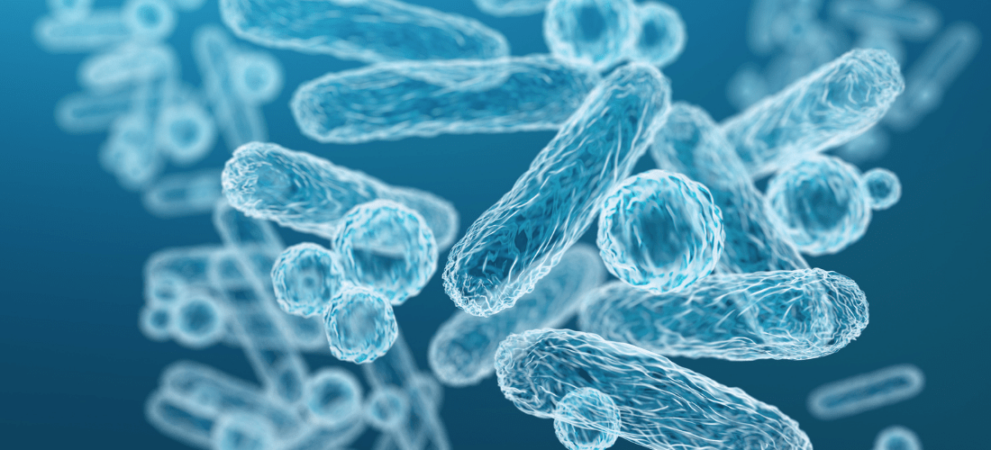 Hands wearing blue latex gloves holding an oral x-ray, close-up of 3d microscopic blue bacteria, infectious Disease illustration | Doylestown Health